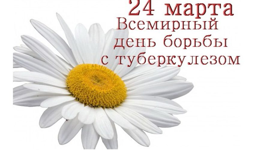 24 марта — День Белой ромашки