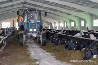 Молочно-товарные фермы и комплексы на контроле