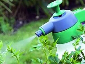 Эффективное и безопасное применение пестицидов на придомовых участках
