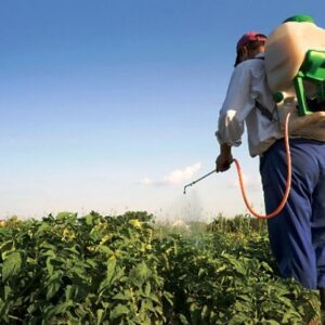 Как избежать отравления пестицидами