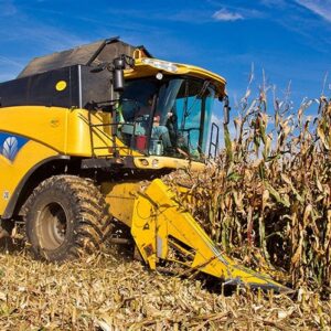 Соблюдение санитарно-эпидемиологических требований при проведении работ по уборке кукурузы