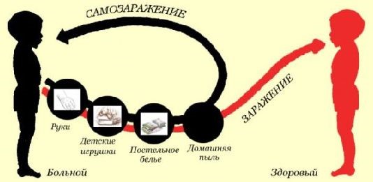 Выделения у женщин