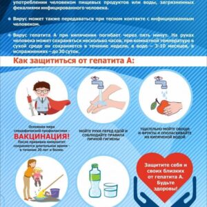 Профилактика вирусного гепатита А