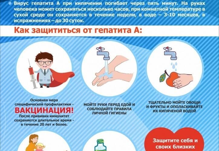 Профилактика вирусного гепатита А Профилактика вирусного гепатита А