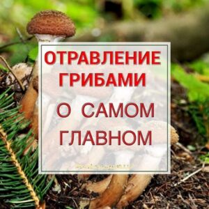 Профилактика отравлений грибами.