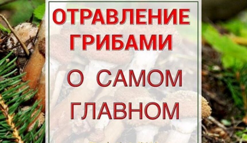 Профилактика отравлений грибами.