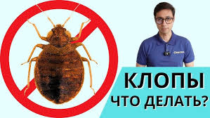 НЕМНОГО О КЛОПАХ