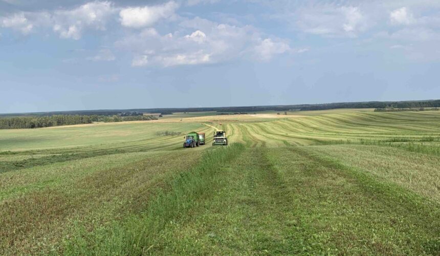 Уборка без нарушений Уборка без нарушений