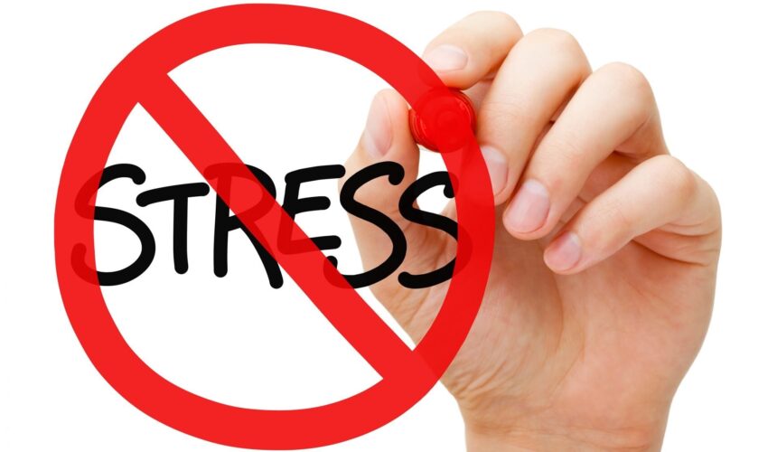 Эмоции и сердце: как защитить главный мотор от стресса Эмоции и сердце: как защитить главный мотор от стресса