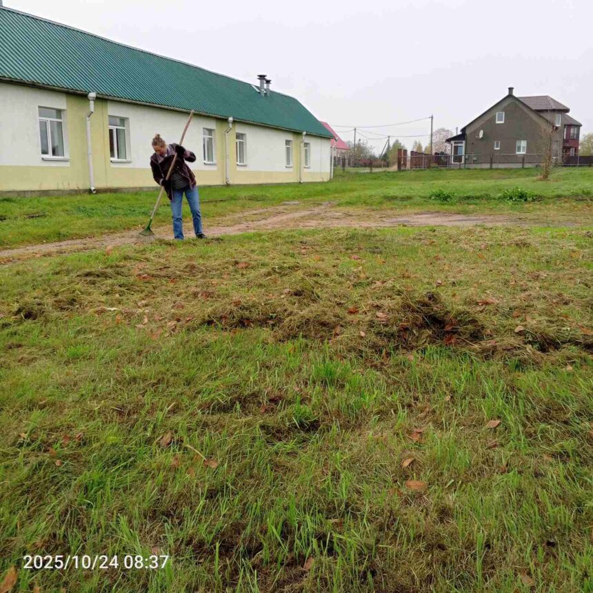 Наведение порядка на территории