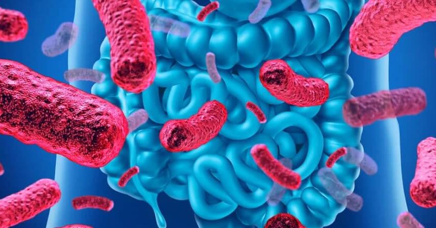 Меры профилактики острых кишечных инфекций Меры профилактики острых кишечных инфекций