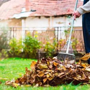 Наведение порядка на земле Наведение порядка на земле