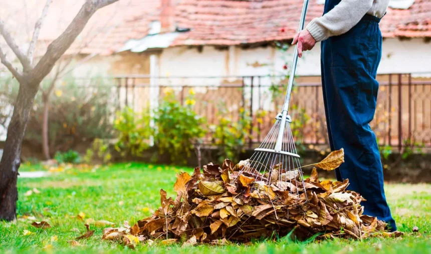 Наведение порядка на земле Наведение порядка на земле