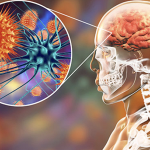 Что необходимо знать каждому о менингококковой инфекции?