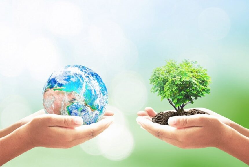 О результатах надзора за санитарным содержанием территорий.