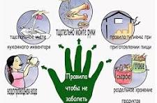 Профилактика сальмонеллеза