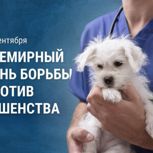 Всемирный день борьбы против бешенства.
