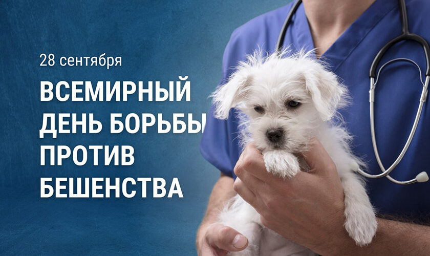 Всемирный день борьбы против бешенства.
